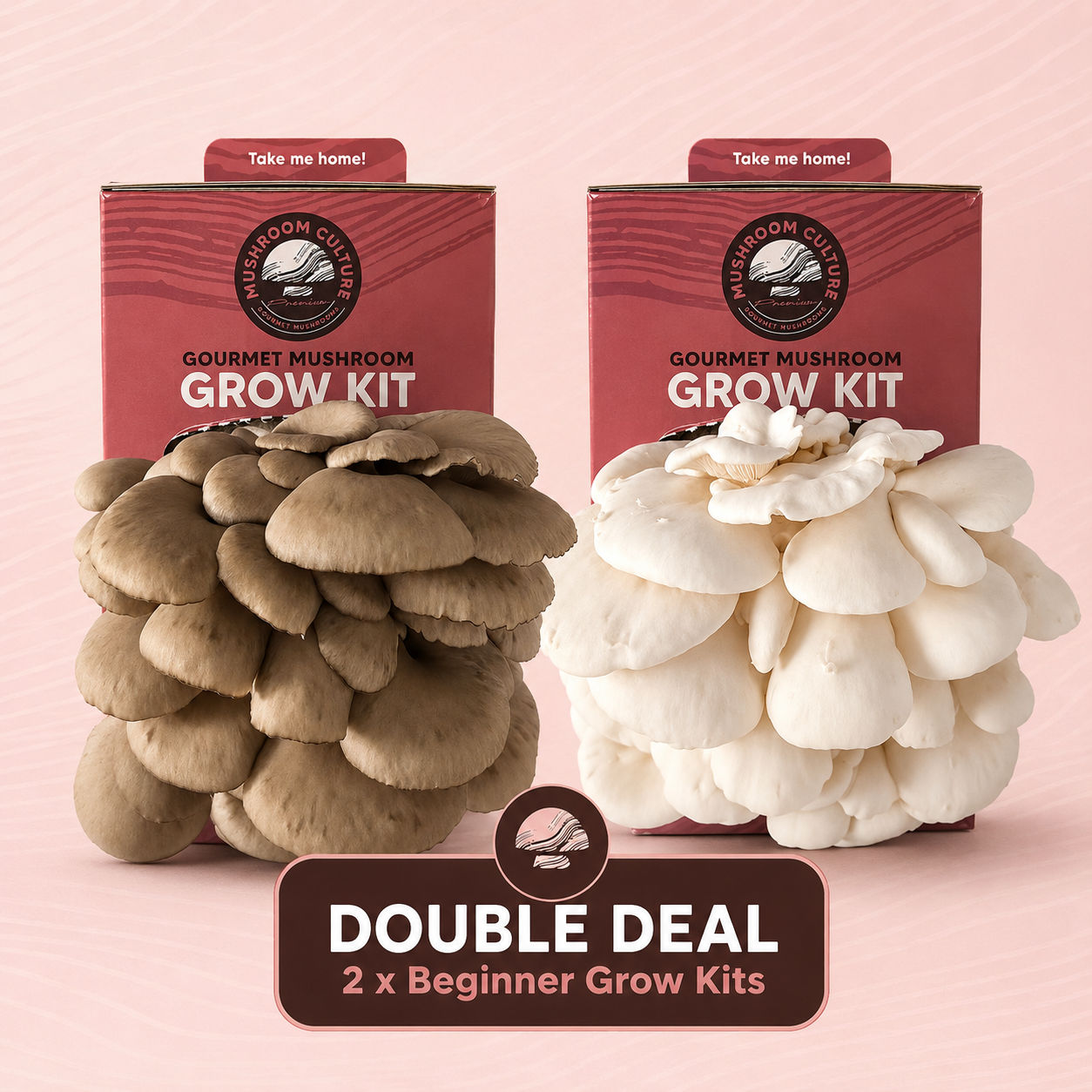 Double Deal - Pick Any 2 Grow Kits