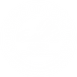Mushroom Culture