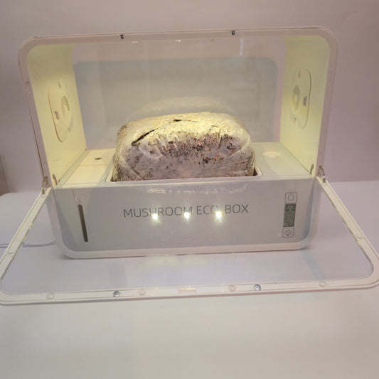 Mushroom Eco-Box – Smart Fruiting Chamber (Includes Grow Kit) ●Pre Order for Mid/Late march delivery ●