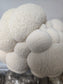 Lion’s Mane Mushroom Grow Kit (Hericium erinaceus) - NO shipping to WA