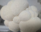 Lion’s Mane Grow Kit DOUBLE DEAL (Hericium erinaceus) - NO shipping to WA