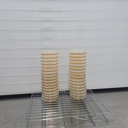 Pre-Poured Agar Plates – LMEA (10 Pack, 90mm)