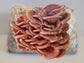 Pink Oyster Mushroom Grow Kit (Pleurotus djamor)