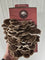 Pheonix Oyster Mushroom Grow Kit (Pleurotus pulmonarius)