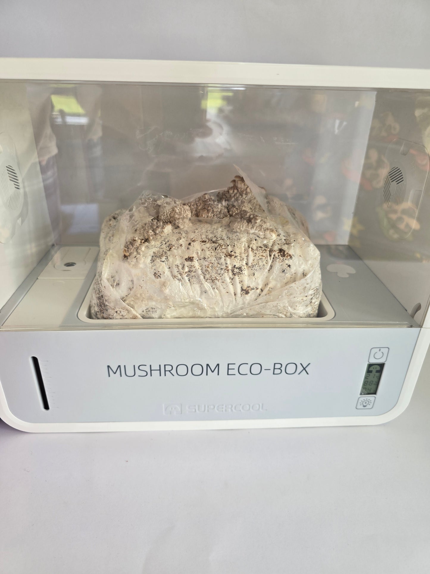 Mushroom Eco-Box – Smart Fruiting Chamber (Includes Grow Kit)